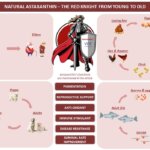 ASTAXANTHIN SERIES – PART 4/9: THE RED KNIGHT FROM YOUNG TO OLD