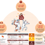 ASTAXANTHIN SERIES – PHẦN 6/9; BÍ QUYẾT GIÚP THÚ CƯNG KHỎE MẠNH, HẠNH PHÚC VÀ KÉO DÀI TUỔI THỌ  (PHẦN 2)