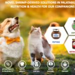 VNF & Partners – CF Chem bring Authentic & Sustainable Shrimp-Derived Delicacy to the world of our beloved PET