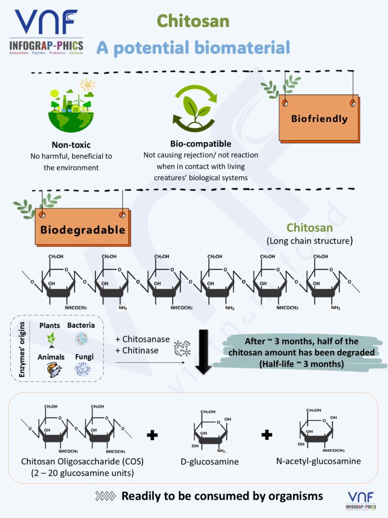|VNF INFOGRAPHIC SERIES| Chitosan: From the Shell to the World ...