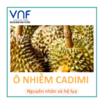 VNF Cadimi Carousel 0️⃣0️⃣1️⃣: Cadimi pollution in Durian farming, causes and consequences