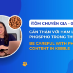 TÔM The EXPERT_ 0️⃣0️⃣1️⃣: 🐾 Beware of phosphorus in pet kibble 🐾