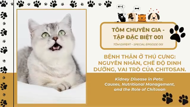 🐾 The very first special episode of the “Tôm The Expert” series is now live! Episode 1 Topic: KIDNEY DISEASE IN PETS 🐶🐱