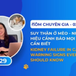 TÔM THE EXPERT with Host Dr. Ngo Hong Phuong_0️⃣2️⃣9️⃣: 🩺🐱 Acute vs. Chronic Kidney Disease in Cats – Knowing the Difference Can Save a Life
