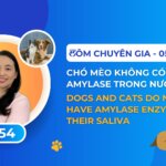 TÔM THE EXPERT with Host Dr. Ngo Hong Phuong_0️⃣5️⃣4️⃣: