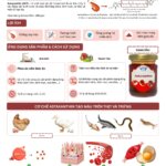 Vietnam Food Joint Stock Company (VNF) develops NaturXanthin – natural astaxanthin for animal nutrition