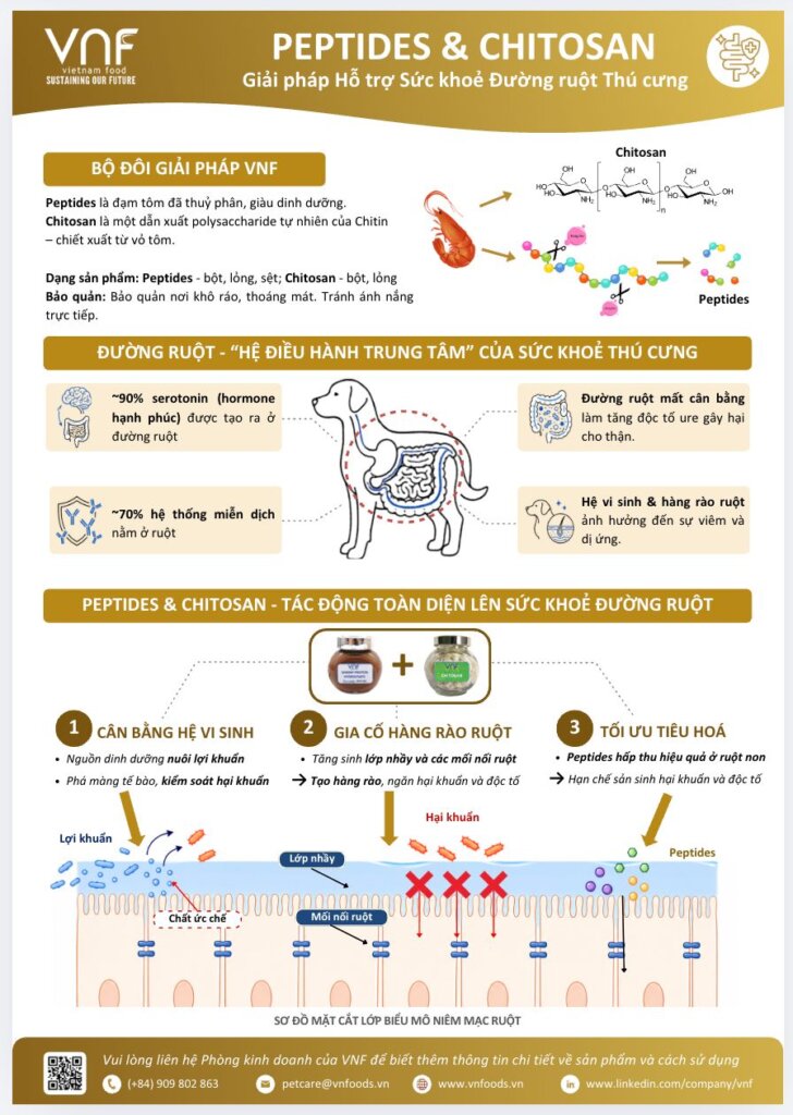 Vietnam Food Joint Stock Company (VNF) develops shrimp-derived Peptides & Chitosan to support pet gut health