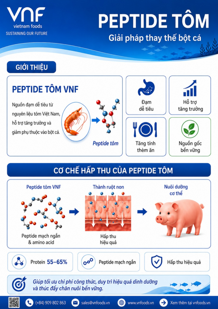 Vietnam Food Joint Stock Company (VNF) develops VNF Shrimp Peptide to replace fish meal and ease feed-cost volatility
