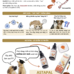 Vietnam Food Joint Stock Company (VNF) develops AstaPal, a natural astaxanthin for pets that helps fight oxidative stress
