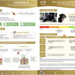 Công ty cổ phần Việt Nam Food (VNF) phát triển ChitoPal-D – giải pháp chitosan chăm sóc răng miệng cho thú cưng