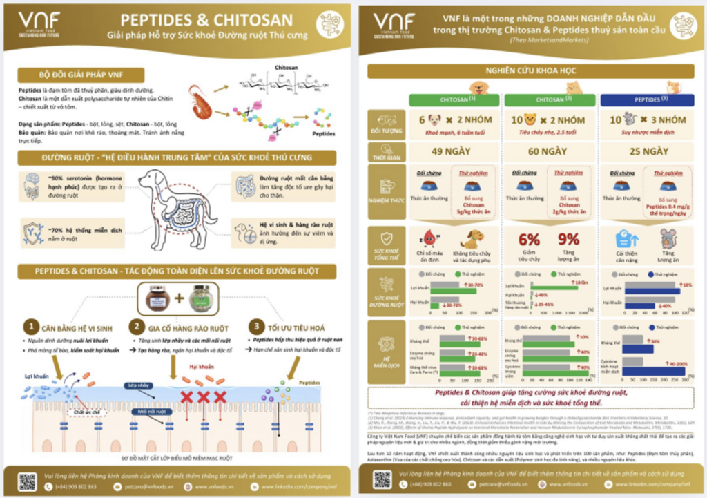 Công ty cổ phần Việt Nam Food (VNF) phát triển bộ đôi Peptides; Chitosan hỗ trợ sức khỏe đường ruột thú cưng