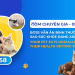 Vietnam Food Joint Stock Company (VNF) helps owners read the body signals behind pet nutrition
